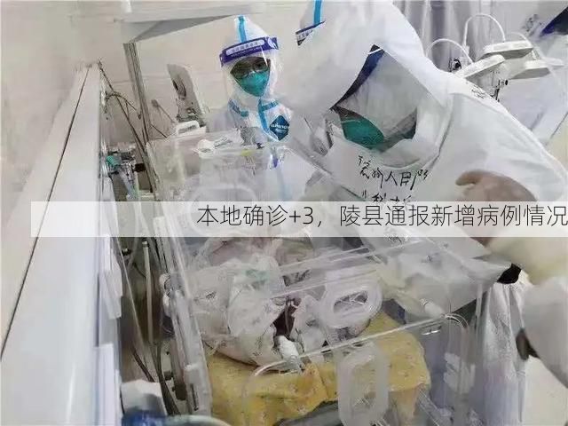 本地确诊+3，陵县通报新增病例情况