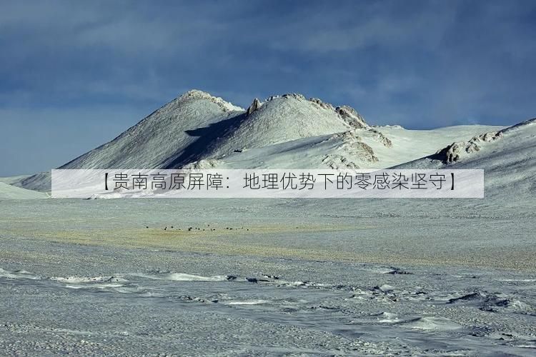 【贵南高原屏障：地理优势下的零感染坚守】