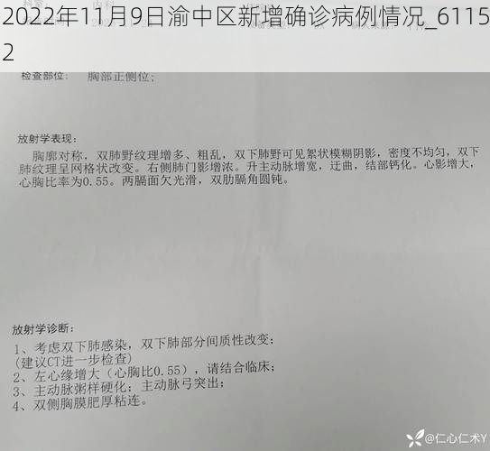 2022年11月9日渝中区新增确诊病例情况_61152
