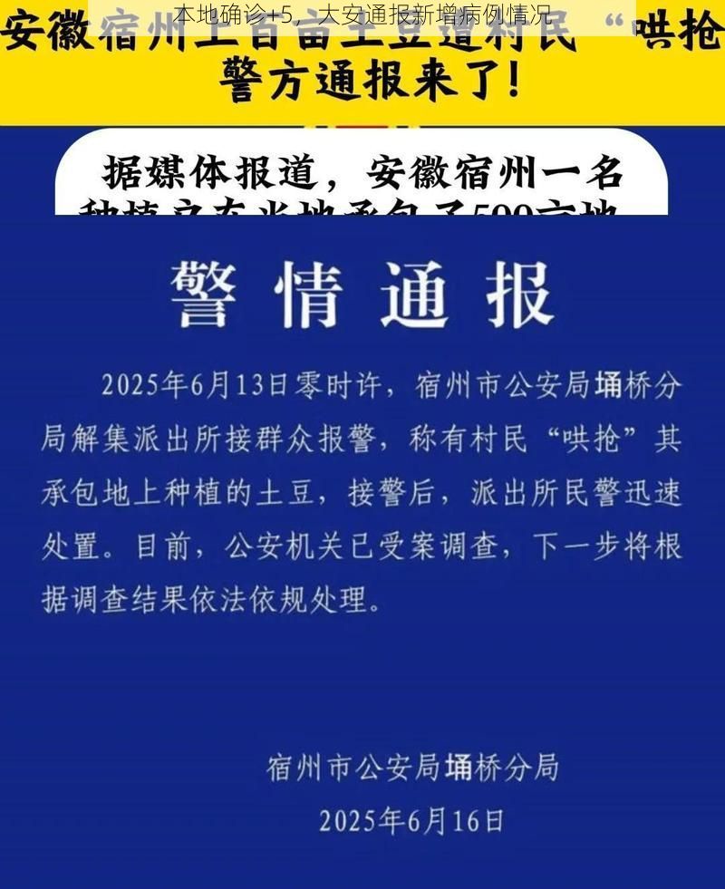 本地确诊+5，大安通报新增病例情况