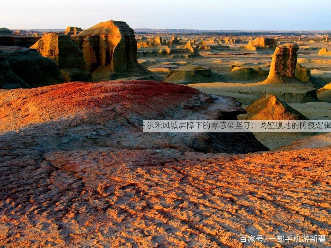 乌尔禾风城屏障下的零感染坚守:戈壁腹地的防疫逻辑