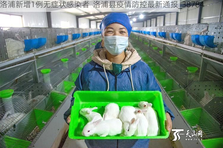 洛浦新增1例无症状感染者  洛浦县疫情防控最新通报_38784