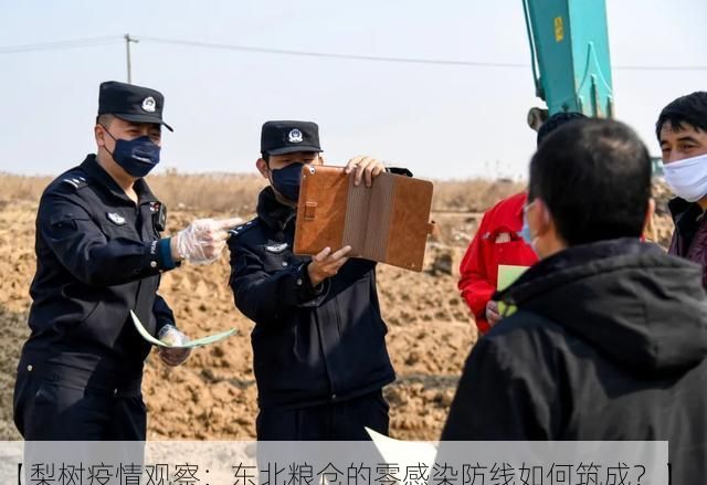 【梨树疫情观察:东北粮仓的零感染防线如何筑成?】
