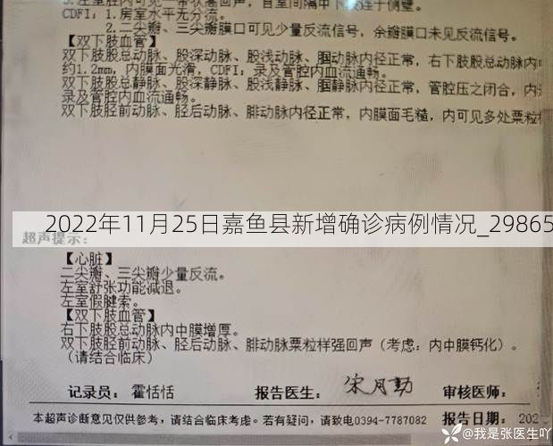 2022年11月25日嘉鱼县新增确诊病例情况_29865