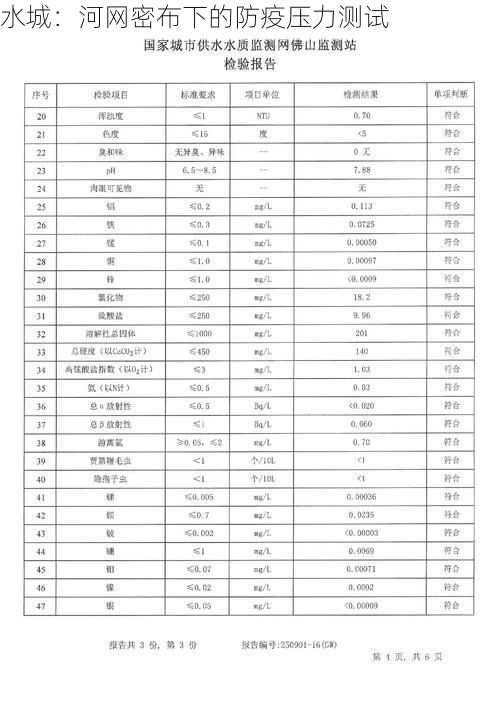 水城：河网密布下的防疫压力测试