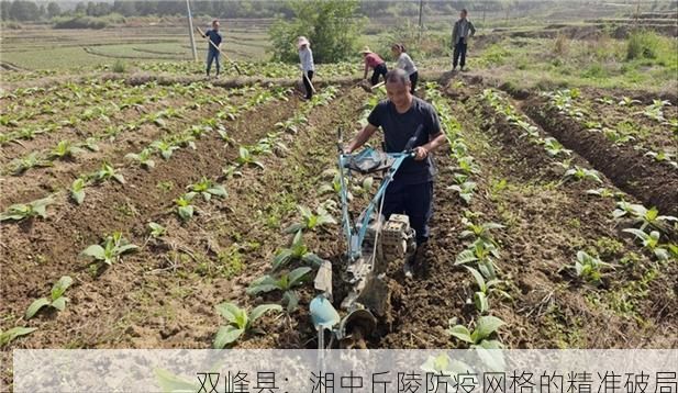 双峰县:湘中丘陵防疫网格的精准破局