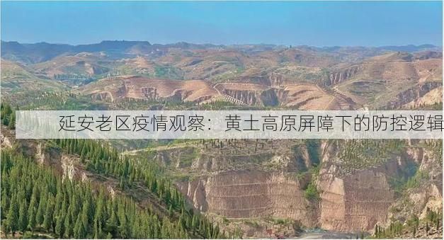 延安老区疫情观察：黄土高原屏障下的防控逻辑