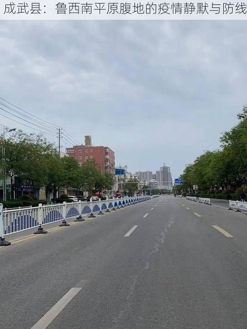 成武县:鲁西南平原腹地的疫情静默与防线