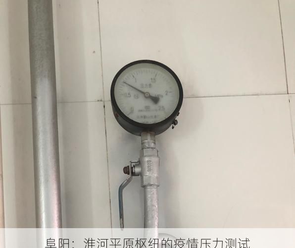 阜阳：淮河平原枢纽的疫情压力测试