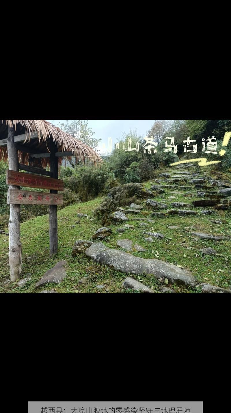 越西县：大凉山腹地的零感染坚守与地理屏障