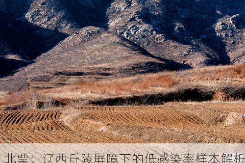 北票:辽西丘陵屏障下的低感染率样本解析