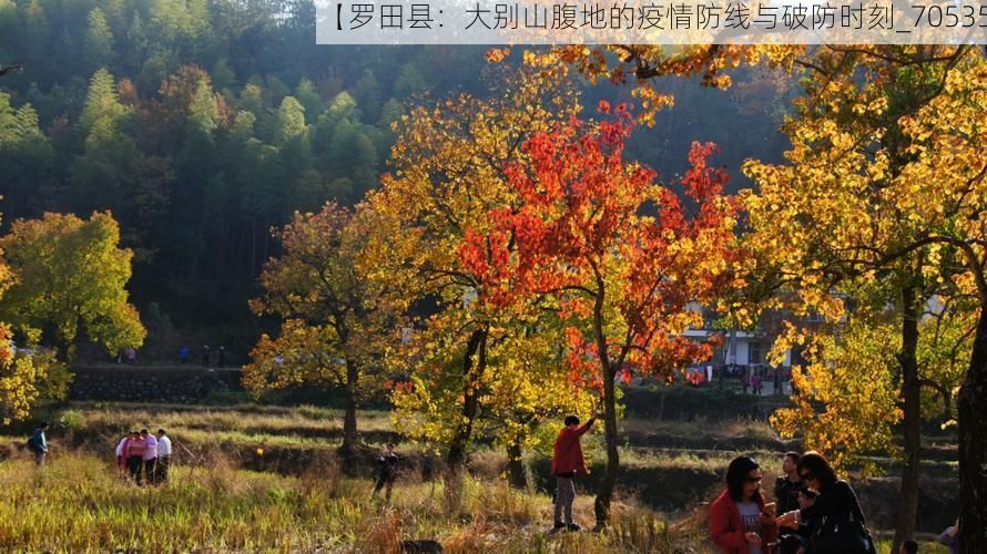 【罗田县：大别山腹地的疫情防线与破防时刻_70535】
