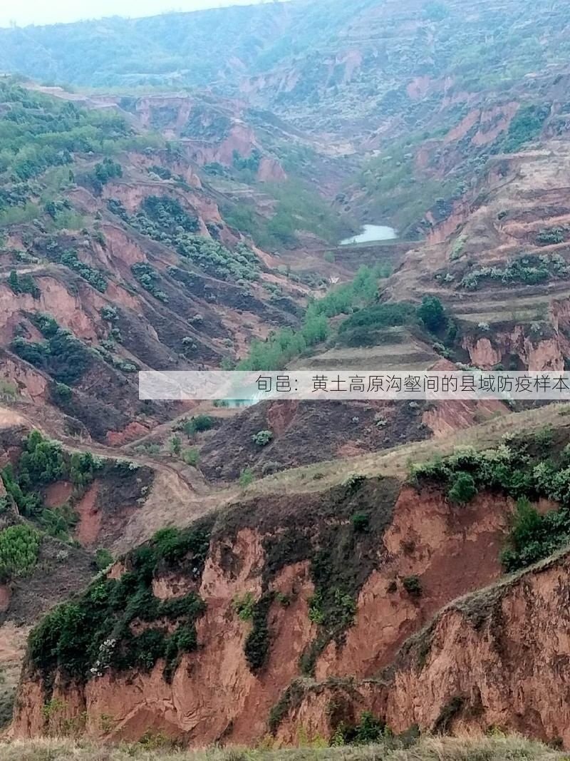 旬邑:黄土高原沟壑间的县域防疫样本