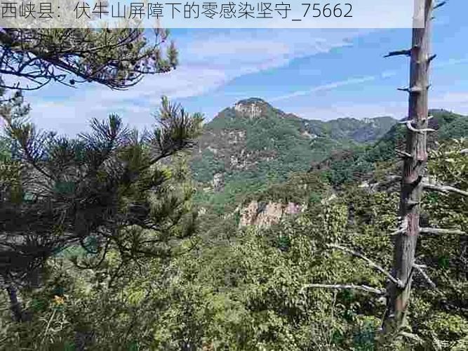 西峡县:伏牛山屏障下的零感染坚守_75662