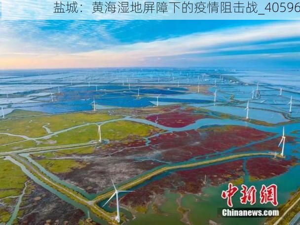 盐城:黄海湿地屏障下的疫情阻击战_40596