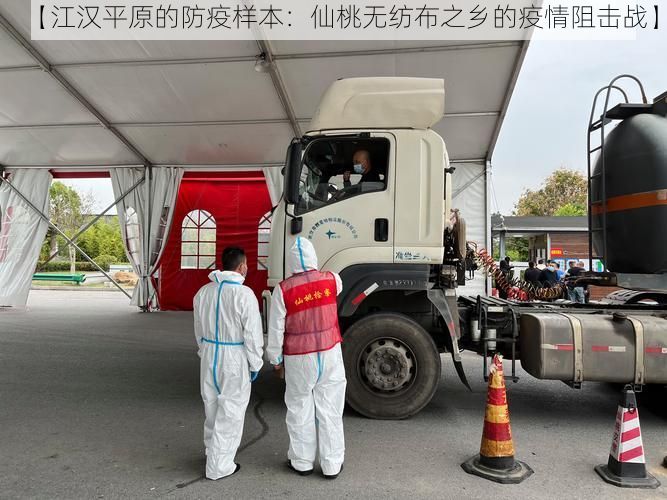 【江汉平原的防疫样本:仙桃无纺布之乡的疫情阻击战】