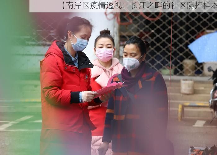 【南岸区疫情透视：长江之畔的社区防控样本】