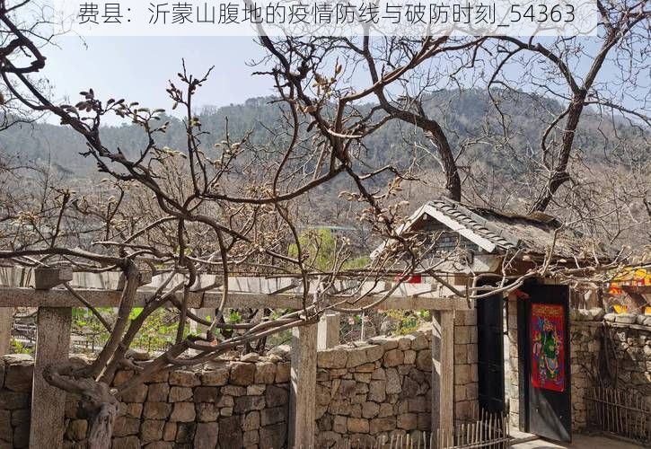 费县：沂蒙山腹地的疫情防线与破防时刻_54363