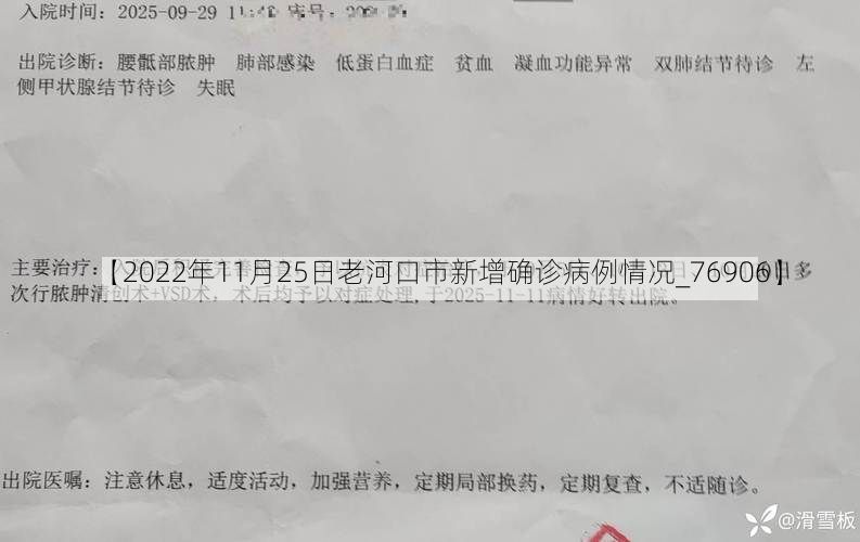 【2022年11月25日老河口市新增确诊病例情况_76906】