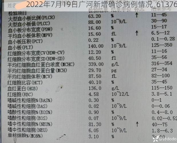 2022年7月19日广河新增确诊病例情况_61376
