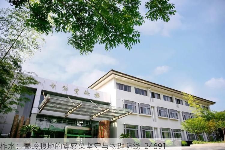 柞水：秦岭腹地的零感染坚守与物理防线_24691