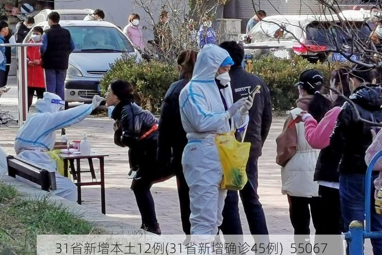 31省新增本土12例(31省新增确诊45例)_55067