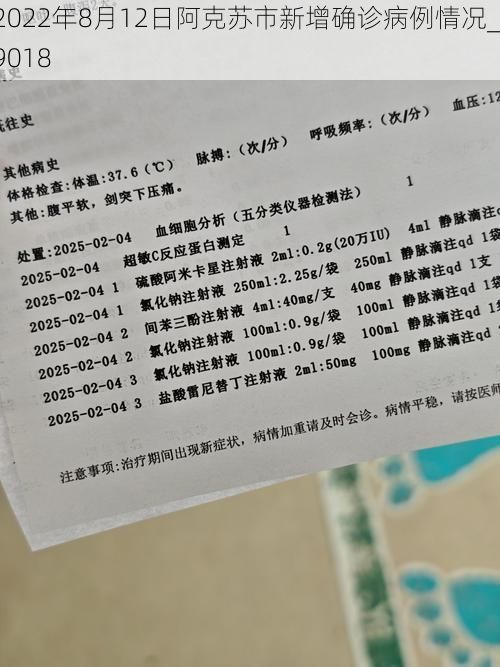 2022年8月12日阿克苏市新增确诊病例情况_19018