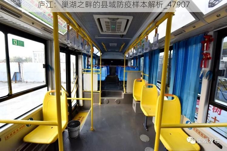 庐江：巢湖之畔的县域防疫样本解析_47907