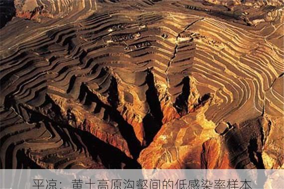 平凉：黄土高原沟壑间的低感染率样本