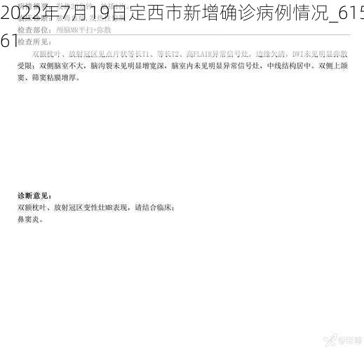 2022年7月19日定西市新增确诊病例情况_61561