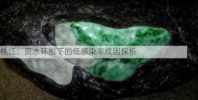 桃江:资水环抱下的低感染率成因探析