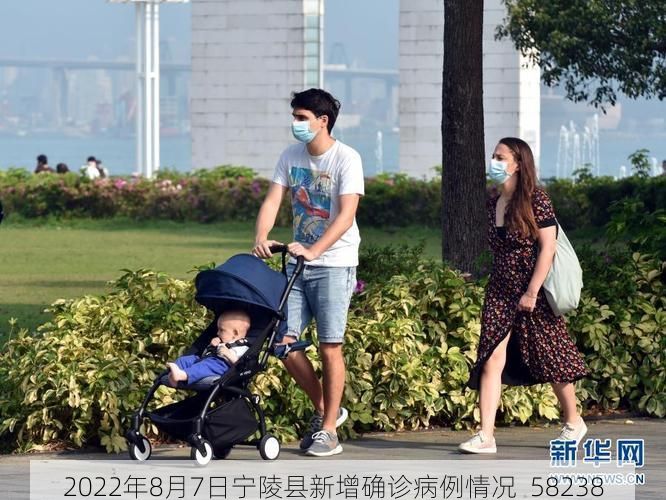 2022年8月7日宁陵县新增确诊病例情况_58238