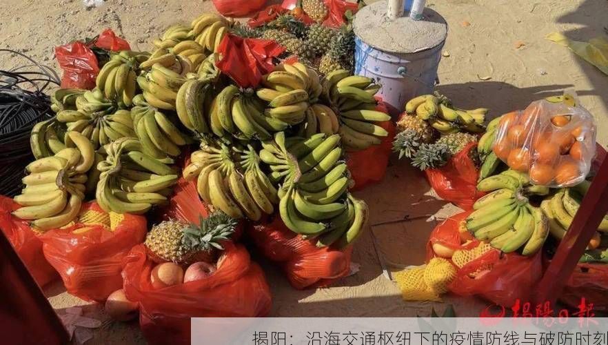 揭阳：沿海交通枢纽下的疫情防线与破防时刻