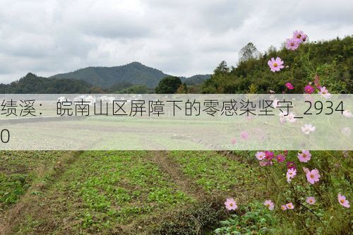 绩溪:皖南山区屏障下的零感染坚守_29340