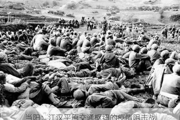 当阳：江汉平原交通枢纽的疫情阻击战