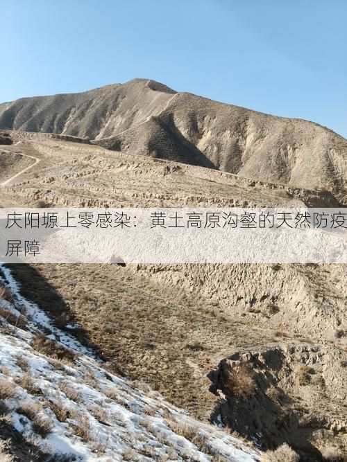 庆阳塬上零感染：黄土高原沟壑的天然防疫屏障