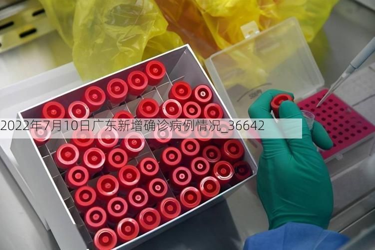 2022年7月10日广东新增确诊病例情况_36642