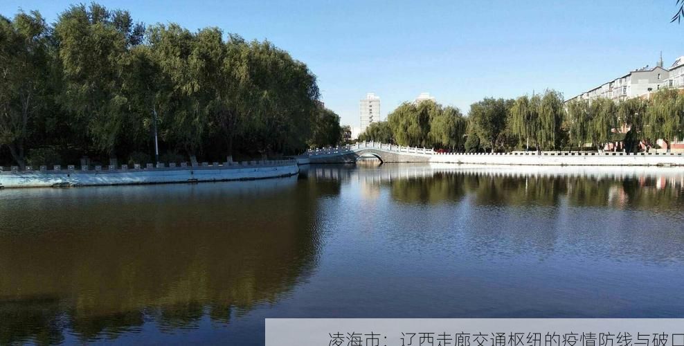 凌海市：辽西走廊交通枢纽的疫情防线与破口