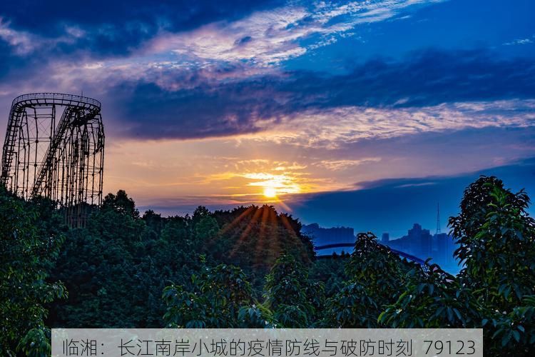 临湘:长江南岸小城的疫情防线与破防时刻_79123