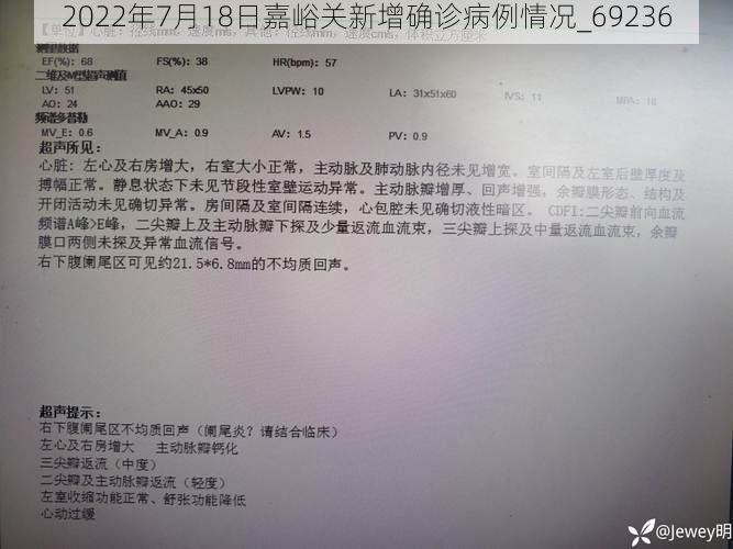 2022年7月18日嘉峪关新增确诊病例情况_69236