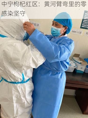 中宁枸杞红区:黄河臂弯里的零感染坚守