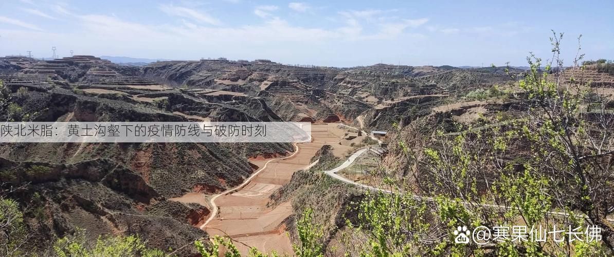陕北米脂:黄土沟壑下的疫情防线与破防时刻