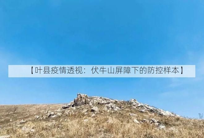【叶县疫情透视:伏牛山屏障下的防控样本】