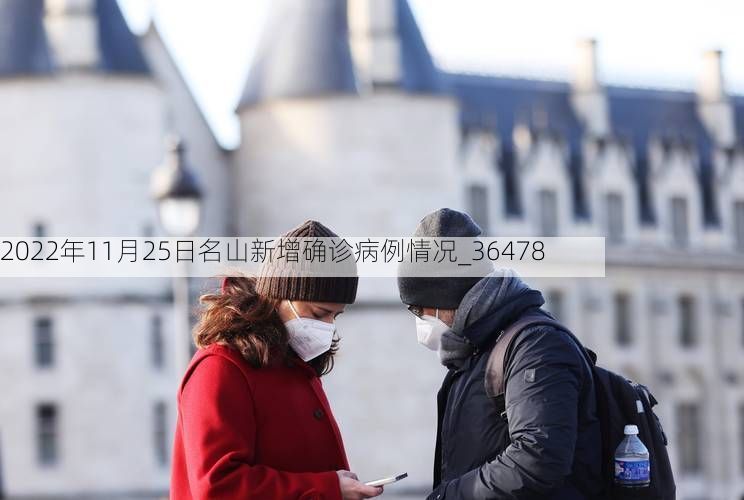 2022年11月25日名山新增确诊病例情况_36478