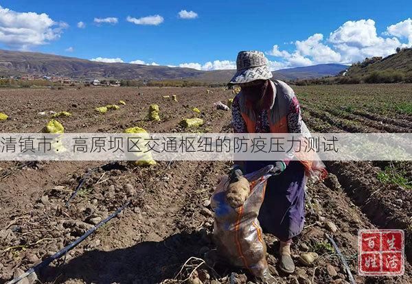清镇市：高原坝区交通枢纽的防疫压力测试