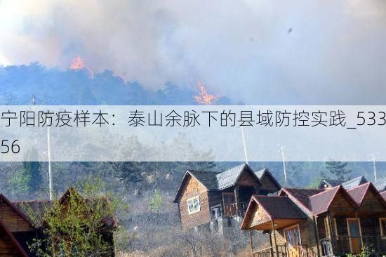 宁阳防疫样本:泰山余脉下的县域防控实践_53356