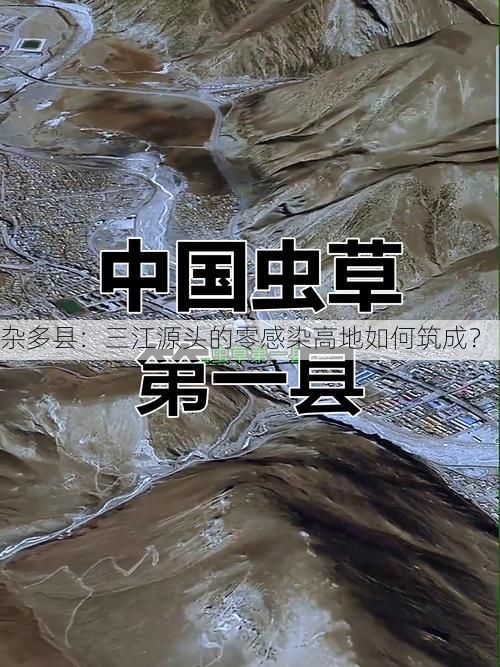 杂多县:三江源头的零感染高地如何筑成?