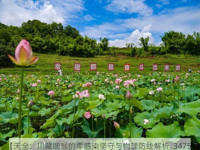 【天全:川藏咽喉的零感染坚守与物理防线解析_34753】