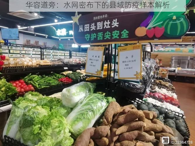 华容道旁:水网密布下的县域防疫样本解析