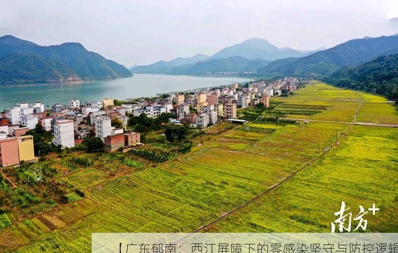 【广东郁南：西江屏障下的零感染坚守与防控逻辑】